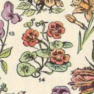 Meet your Posher, Jaylah